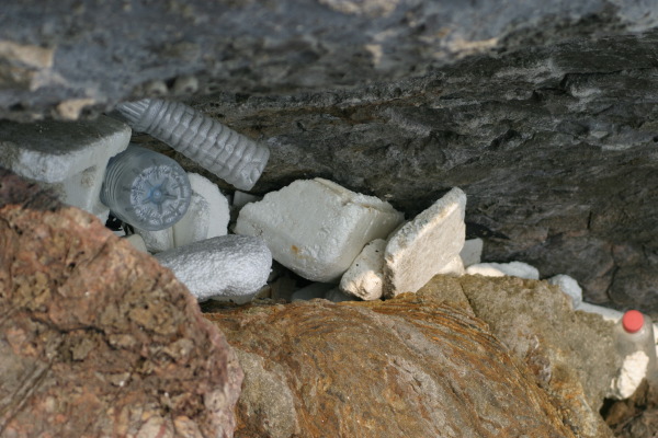 Beach TRASH