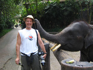 0058_lions-tigers-and-elephants-ok-only-tiger_elephanthat_21be39b072